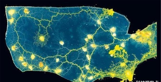 世间生物雌雄_世间生物雌雄的区别_世界上雌雄