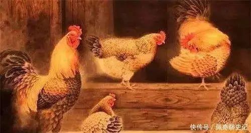 印光大师文钞白话txt_中国四大奇文白话文_白话文之争