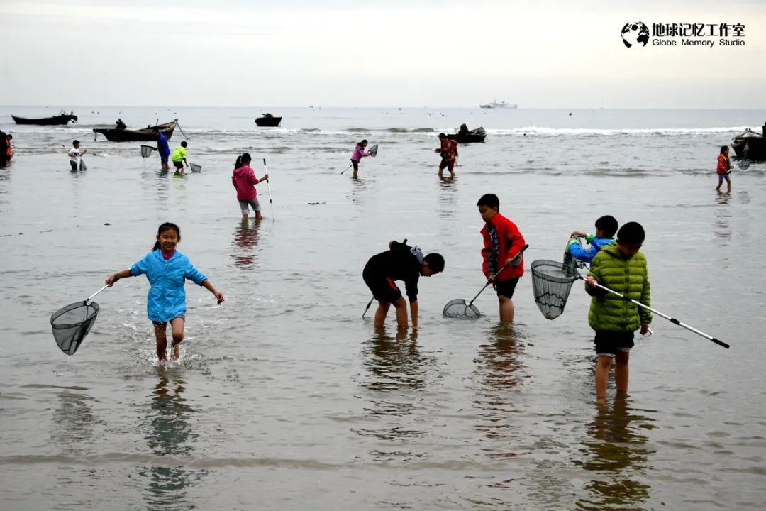 赶海发现奇怪生物_赶海注意危险生物_赶海常见的海洋生物
